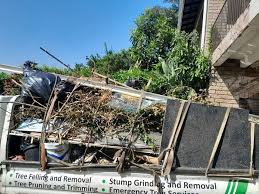 Best Hoarding Cleanup  in Flanders, NJ