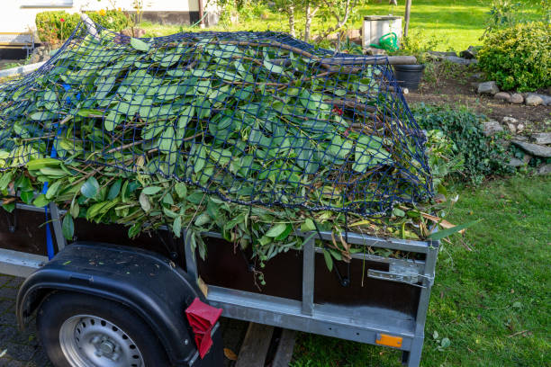 Professional Junk Removal Services in Flanders, NJ